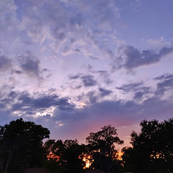 Meet your Posher, Claudia - Picture 3 of 3